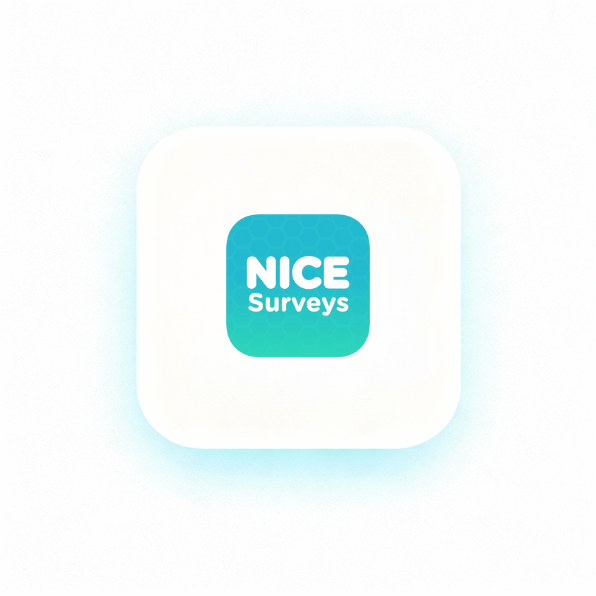 NiceSurveys Logo