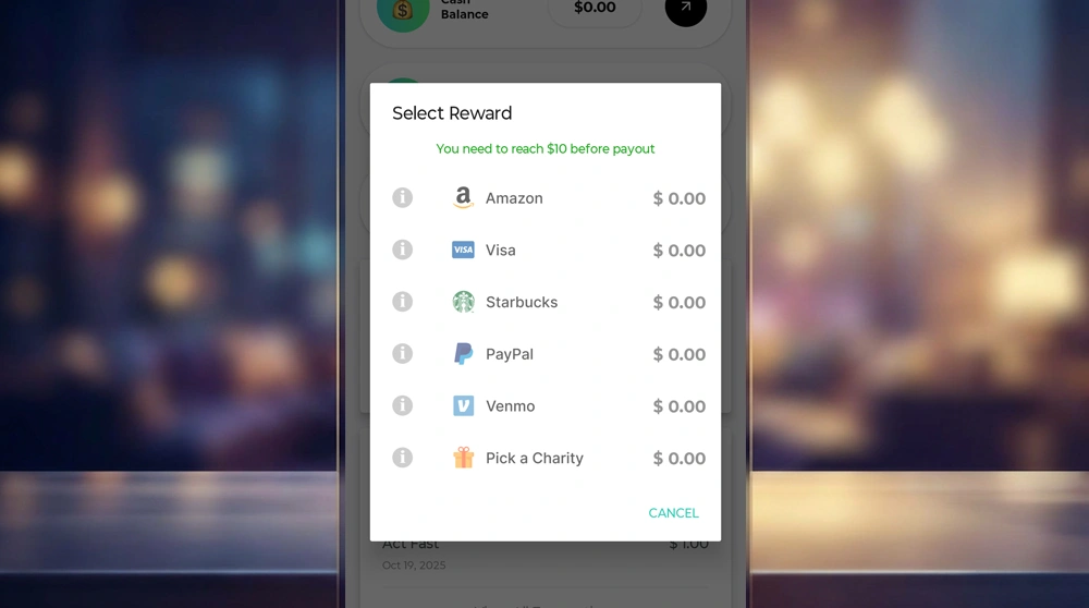 Surveys On The Go Live Cashout Options